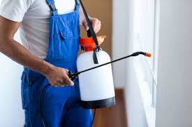 Best Fumigation Services  in Dunlap, OH